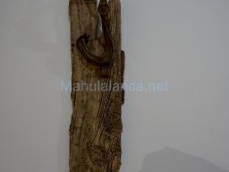 Exposición el tiempo de la Crisálida